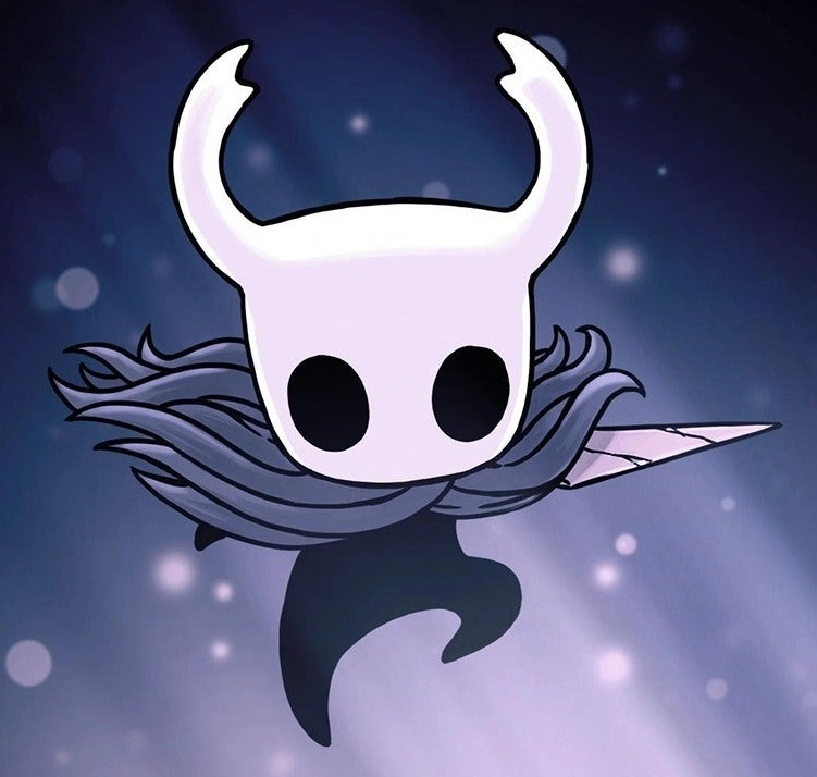 Knight-The-Player-Hollow-Knight